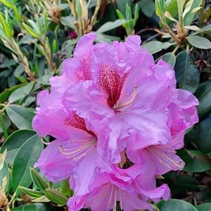 Meet your Posher, Bin